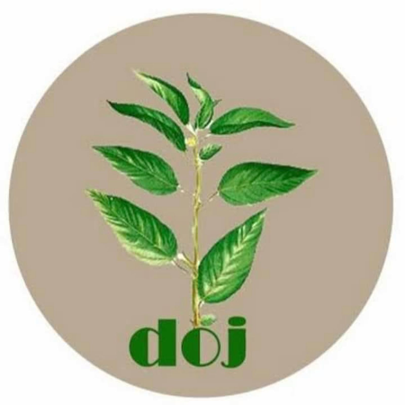 Department of Jute